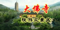 黑丝美女，鸡鸡奶罩，搞基视频中国浙江-新昌大佛寺旅游风景区